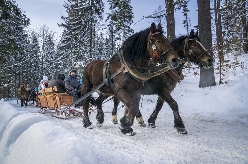 A Sleigh ride in Kubalonka